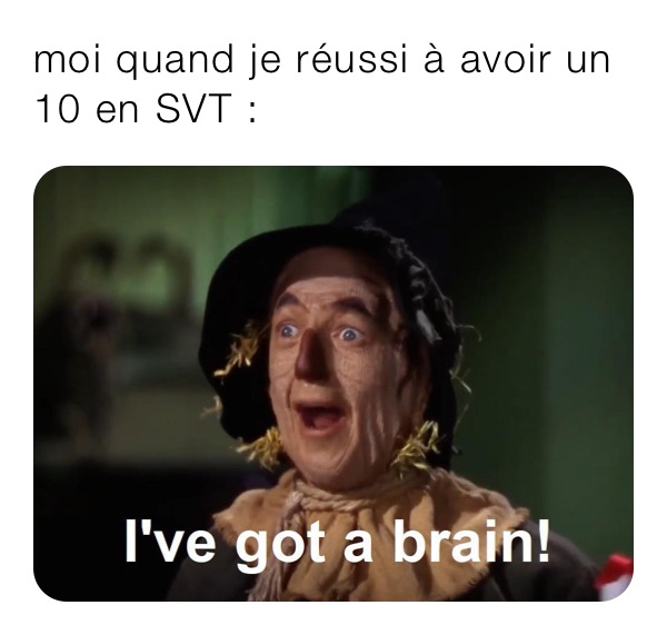 moi quand je réussi à avoir un 10 en SVT : 