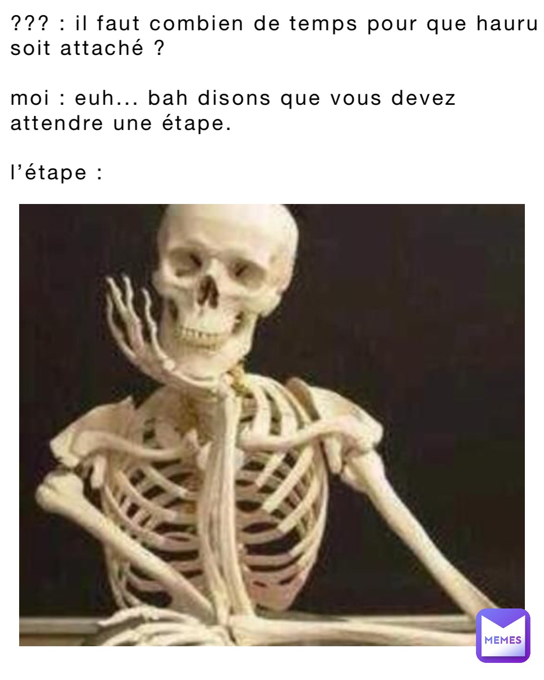 ??? : Il faut combien de temps pour que Hauru soit attaché ? 

Moi : Euh... bah disons que vous devez attendre une étape. 

L’étape :