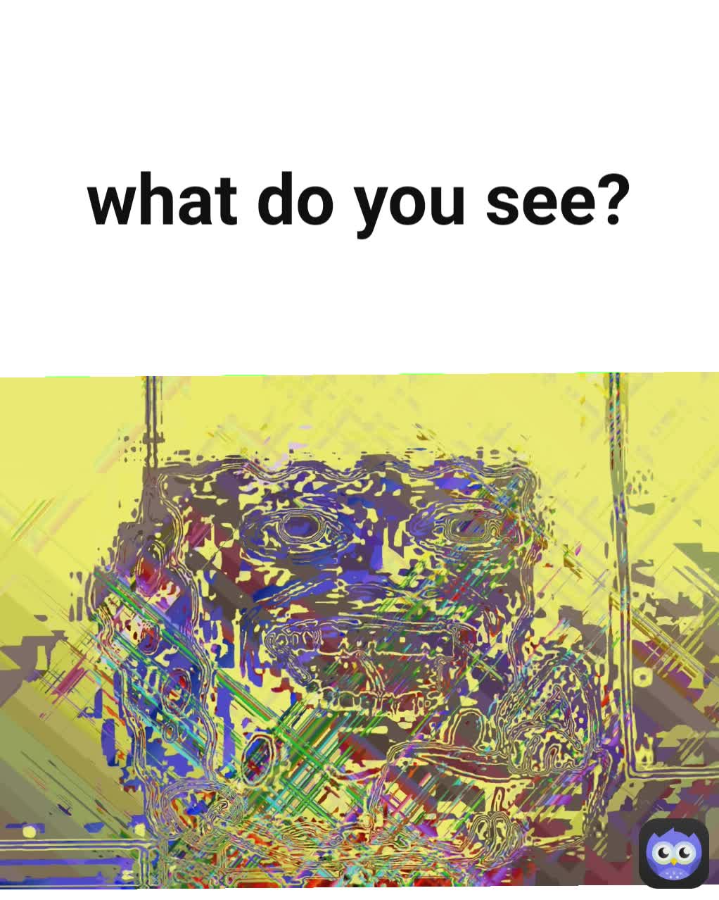 what do you see?