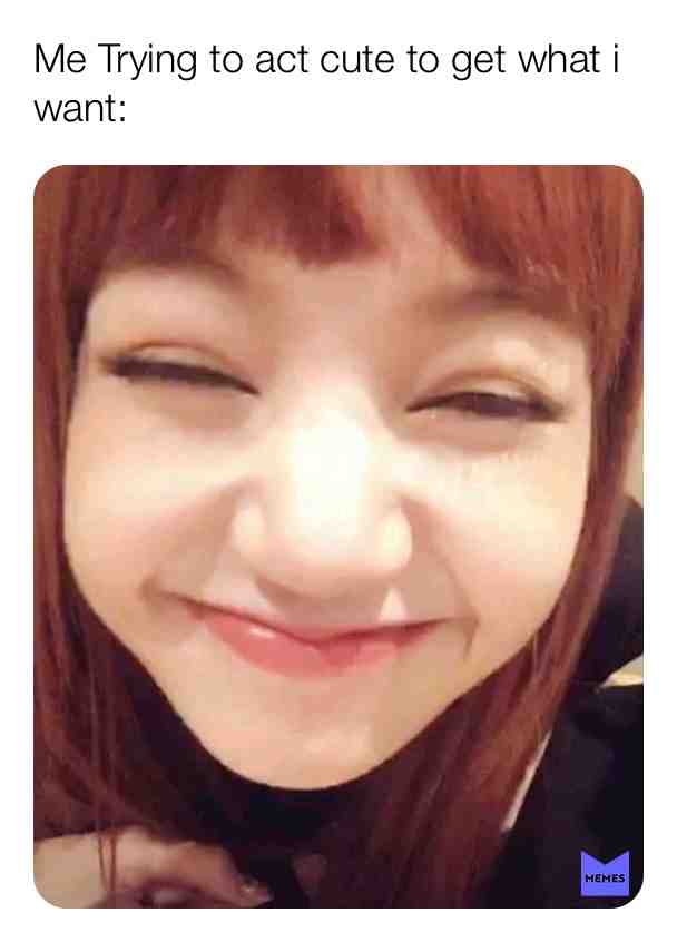 Meme preview