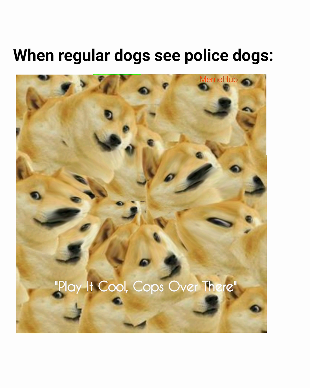 "Play It Cool, Cops Over There" MemeHub When regular dogs see police dogs: