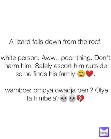 A lizard falls down from the roof.

white person: Aww.. poor thing. Don't harm him. Safely escort him outside so he finds his family ☺️❤️.

 wamboe: ompya owadja peni? Olye ta fi mbela?💀💀💔