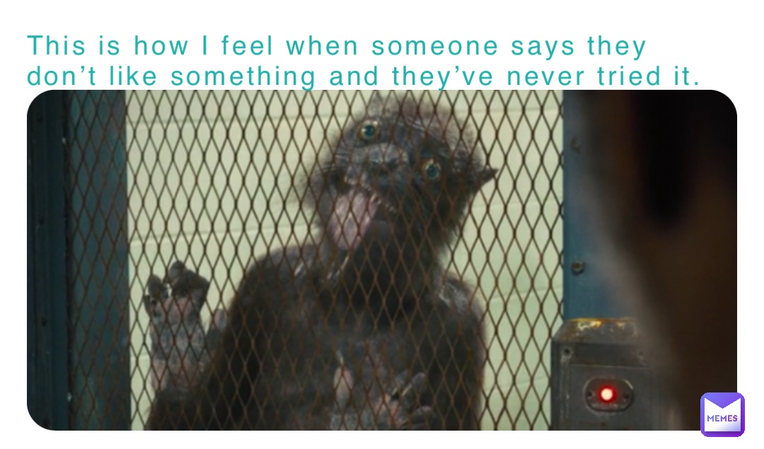 This is how I feel when someone says they don’t like something and they’ve never tried it.