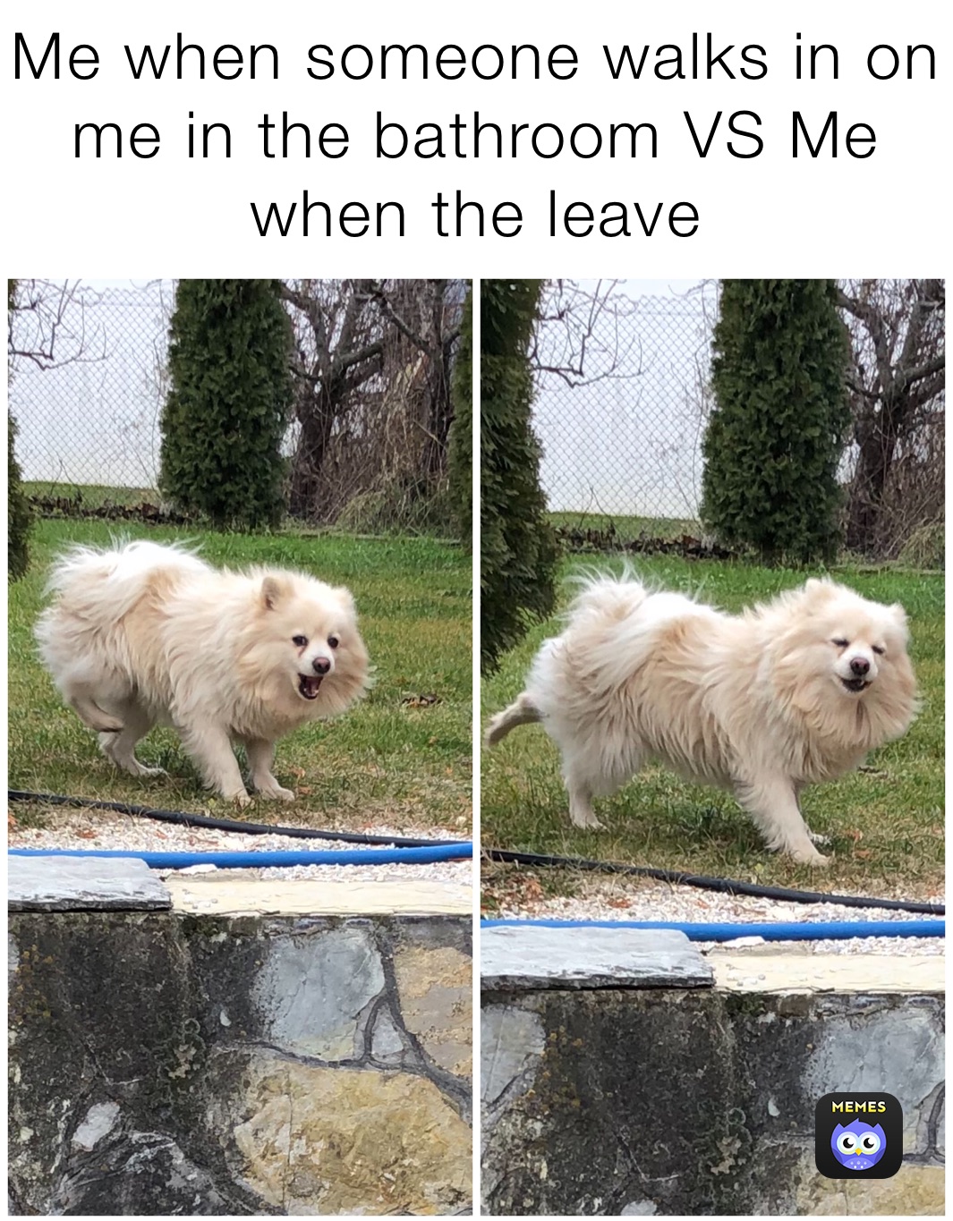 Me when someone walks in on me in the bathroom VS Me when the leave