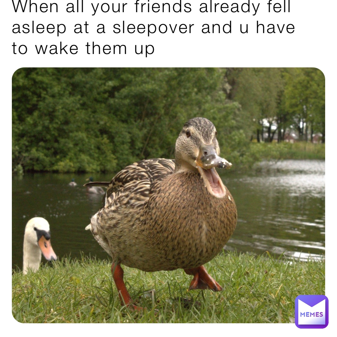 Meme by Lila_be_like