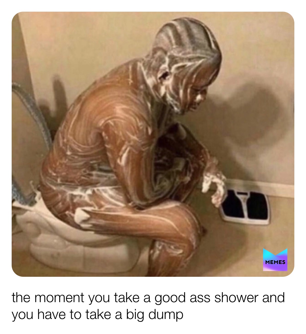 big cat meme dump, image size:1182x1290