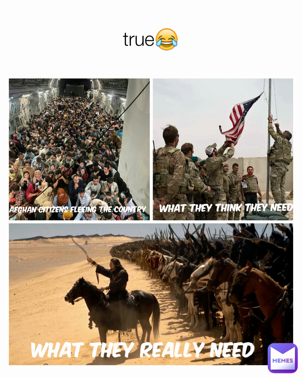 true😂