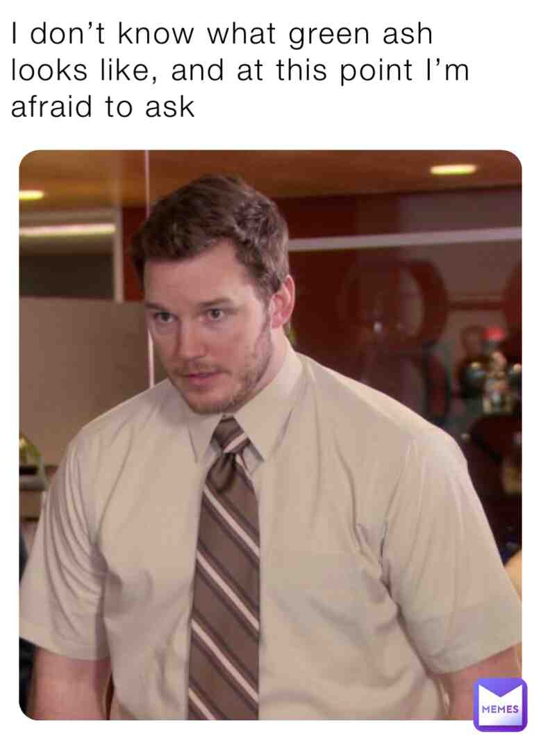 Meme shared by @vwwmg8yvg5