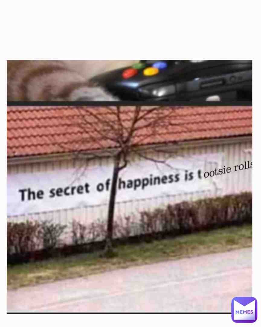 Meme preview