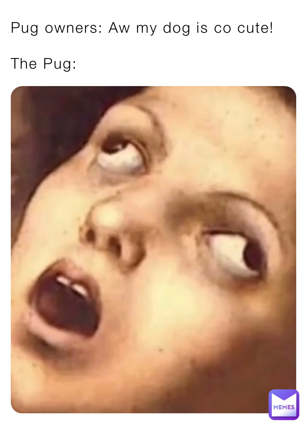 Pug owners: Aw my dog is co cute!

The Pug: