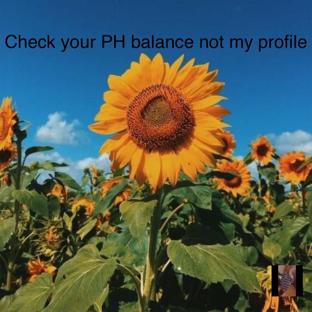 check-your-ph-balance-not-my-profile-ambero-o-memes