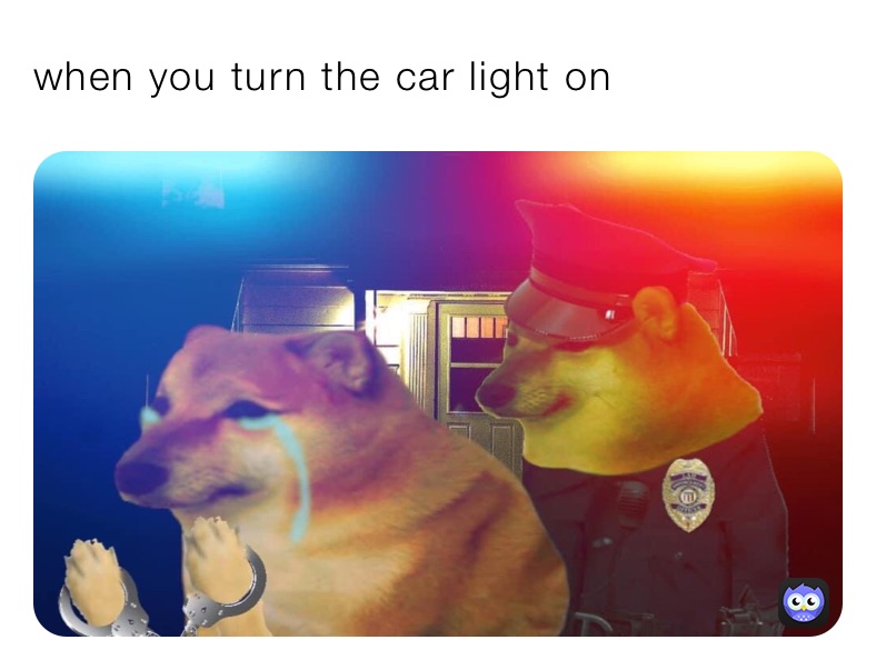 when you turn the car light on
