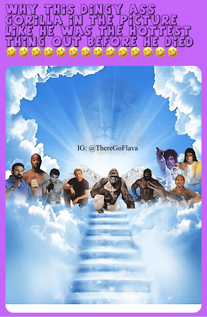 why this dingy ass Gorilla In The Picture Like He was The Hottest thing Out Before He Died 🤣🤣🤣🤣🤣🤣🤣🤣🤣🤣🤣🤣🤣🤣