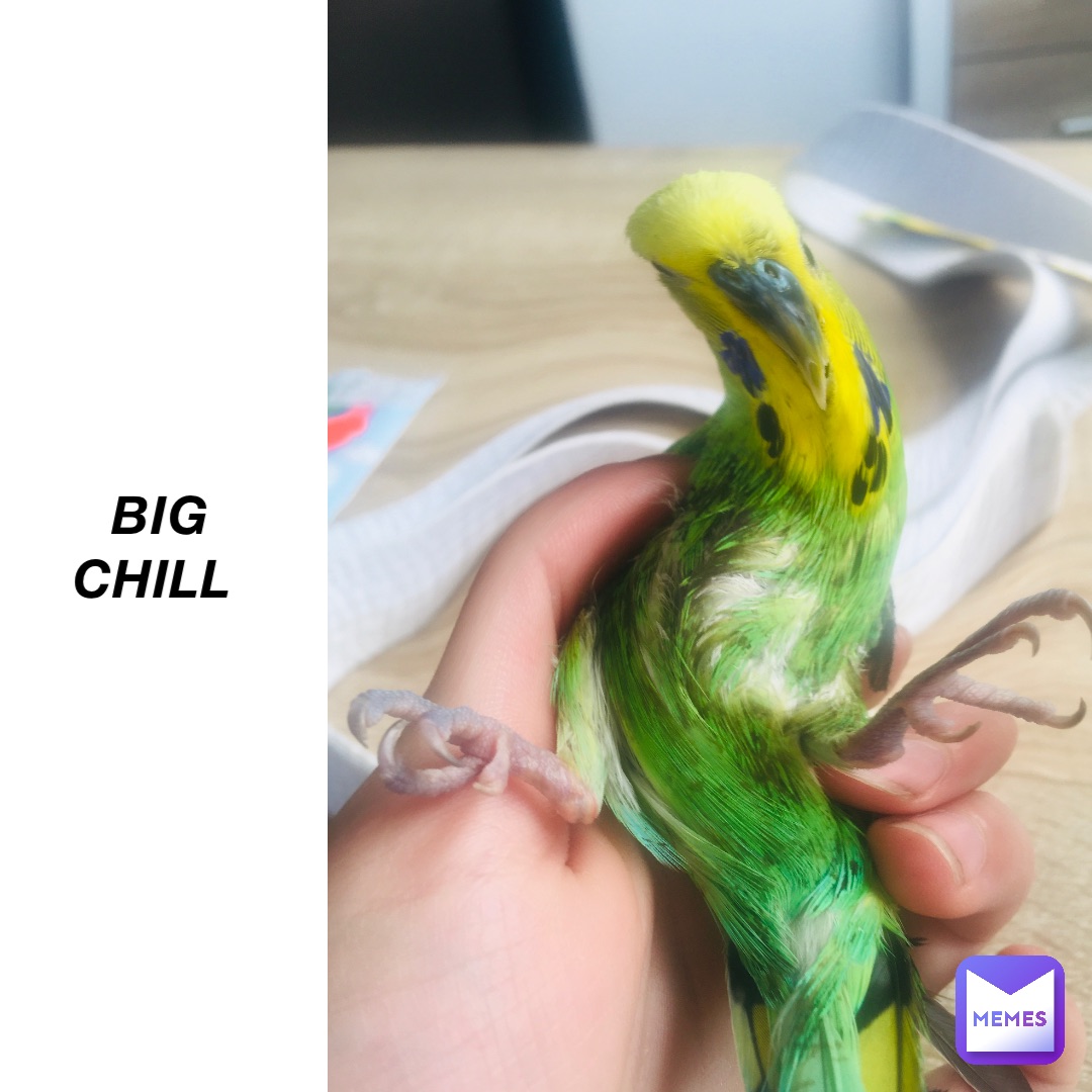 Big chill