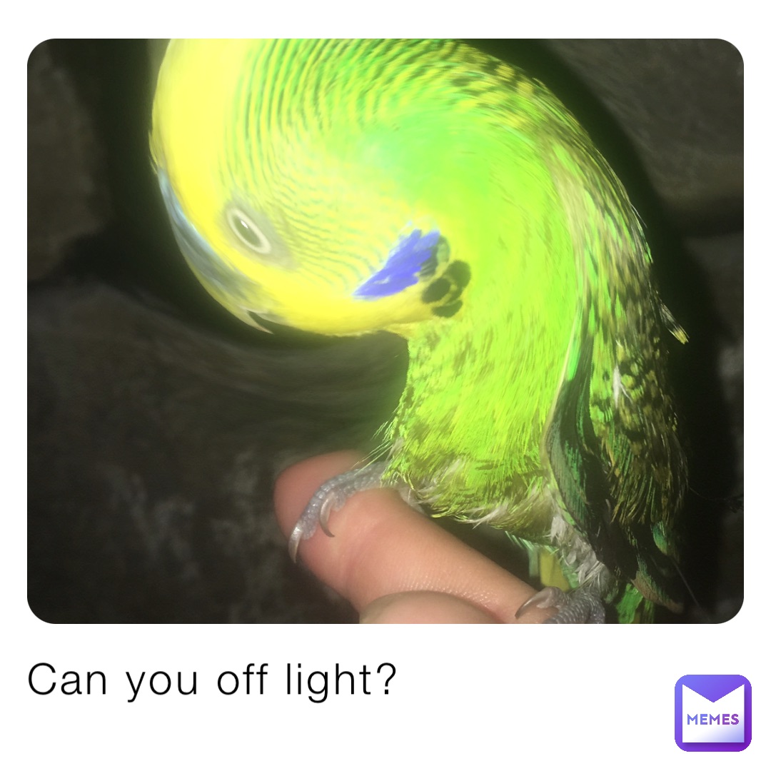 Can you off light?