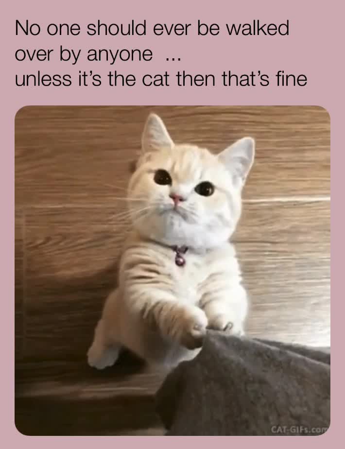 Meme shared by @01parkes