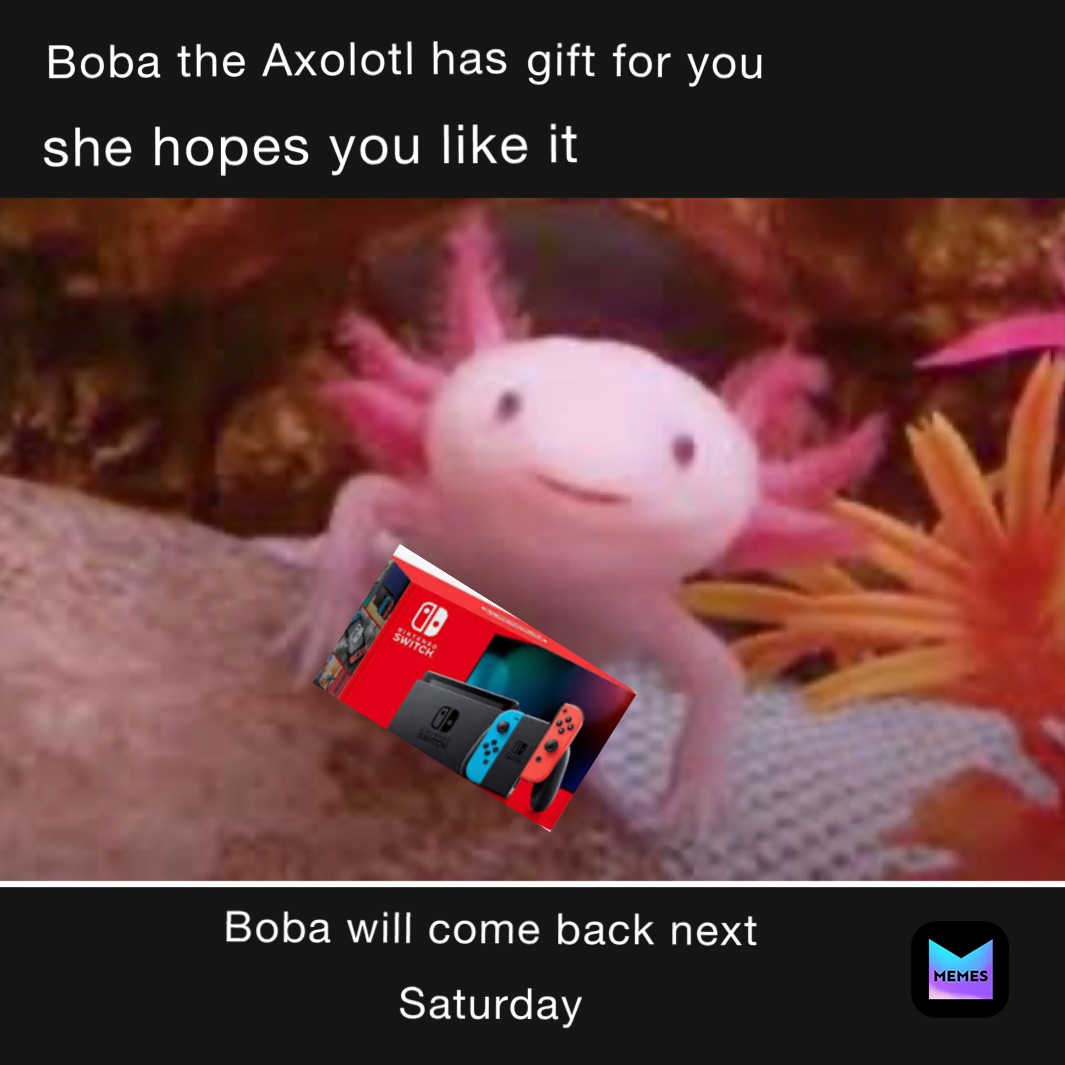 Axolotl Memes Find And Share Memes