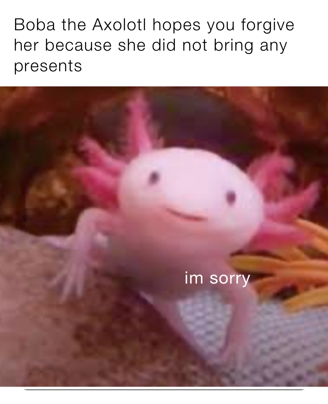Axolotl Memes Find And Share Memes