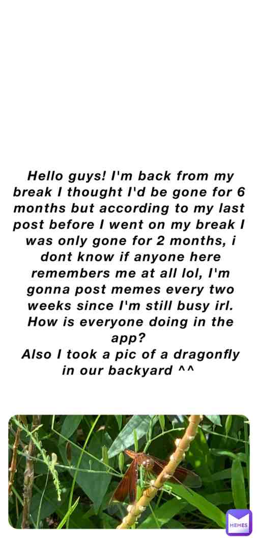 #imback thought id be gone longer ngl