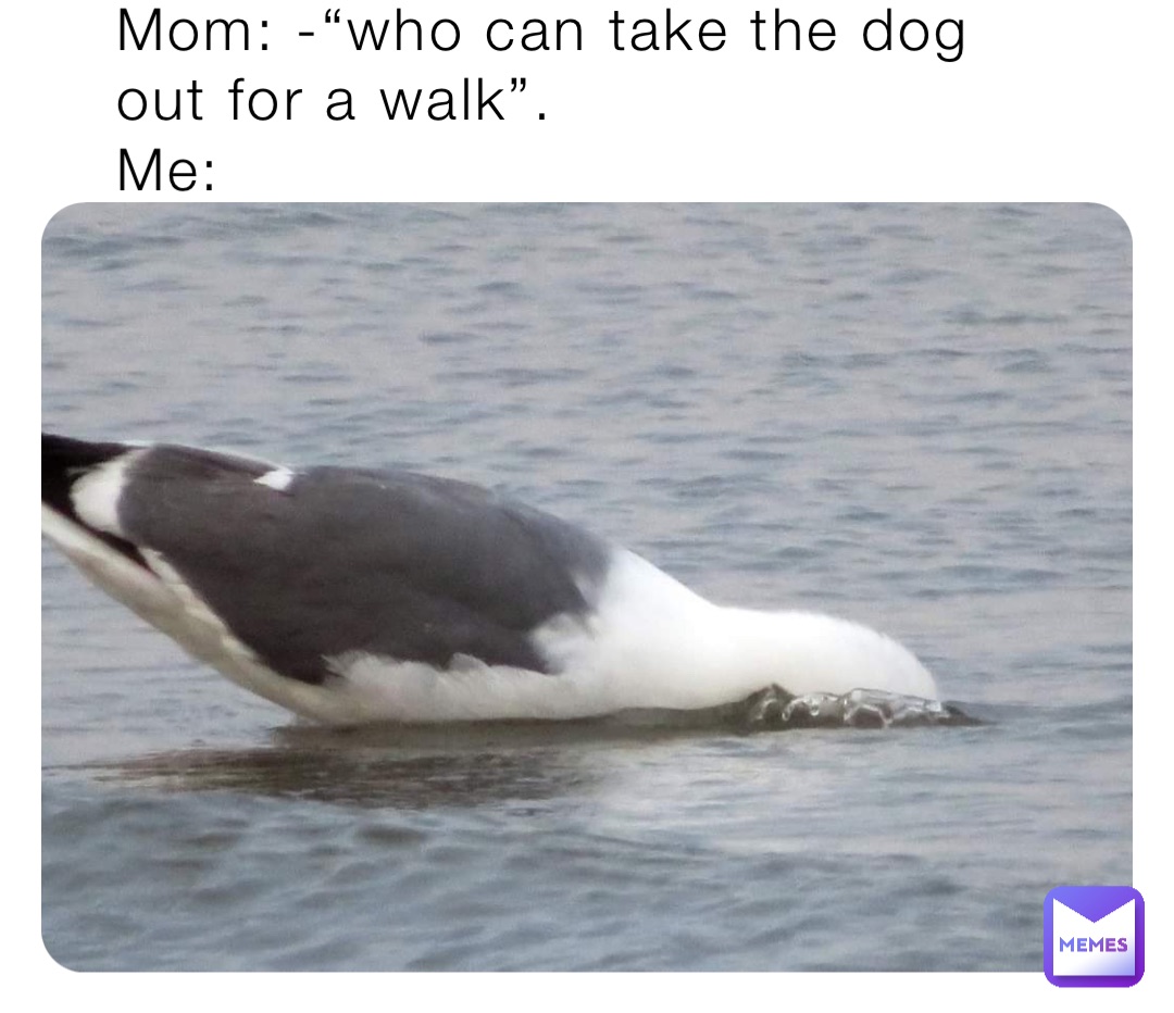 Meme by MemeDreamland