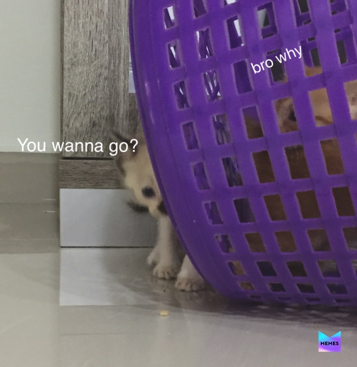 Meme by Wholesome_KJ