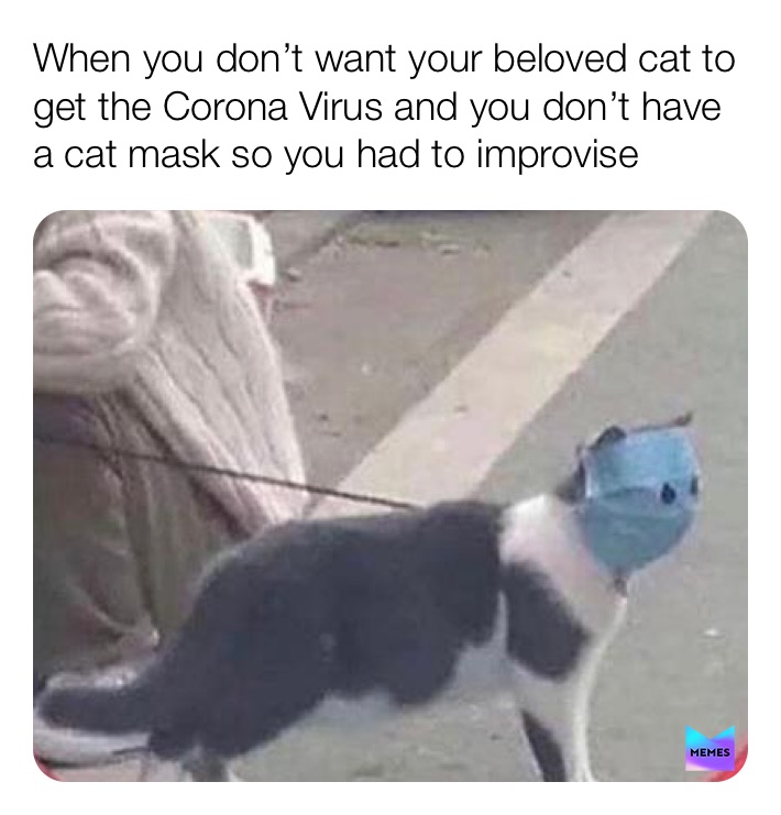 Meme by Wholesome_KJ