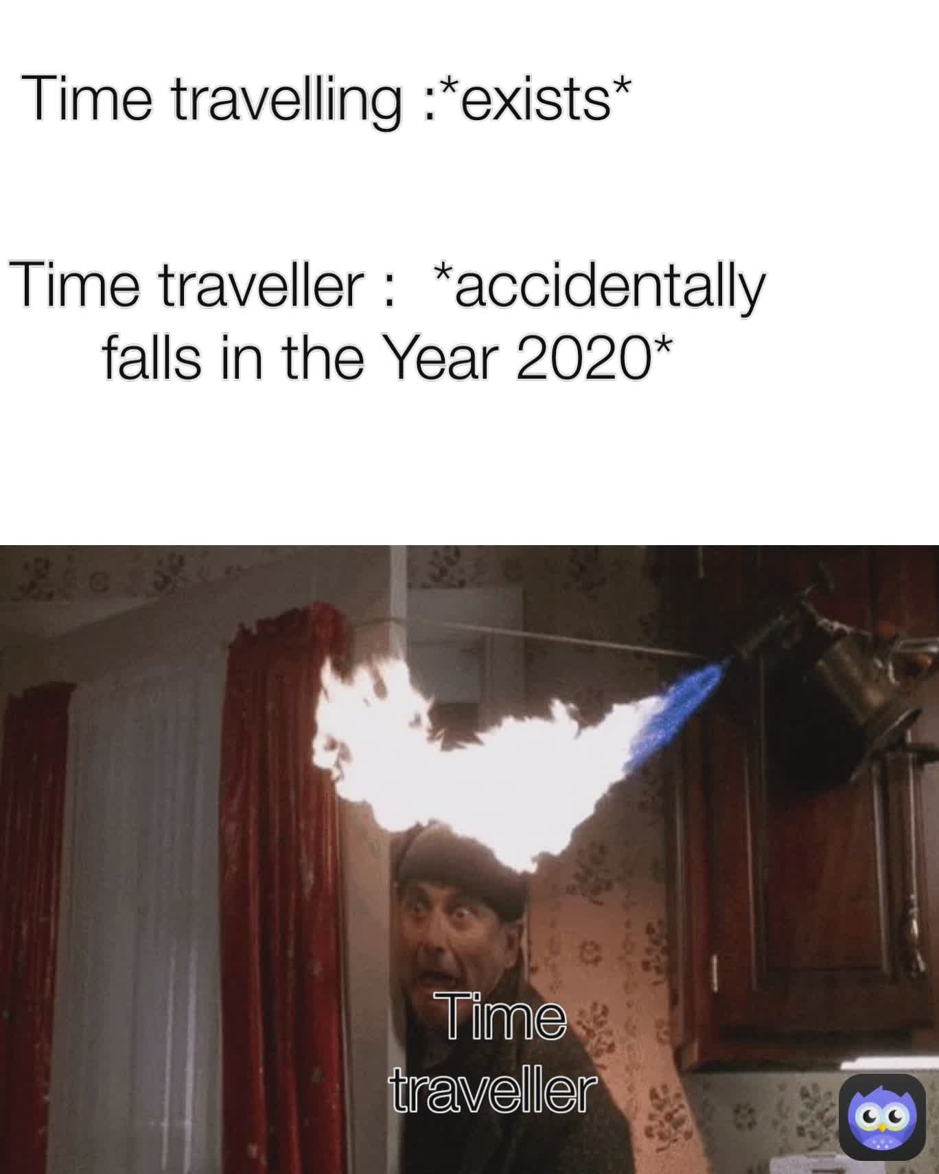 Time traveller  Time travelling :*exists* Time traveller :  *accidentally falls in the Year 2020*