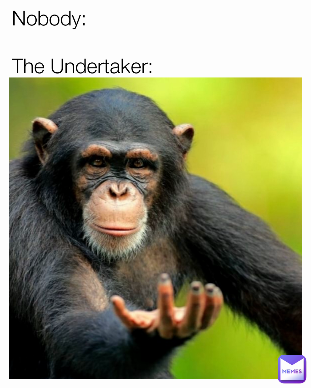 Nobody:

The Undertaker: