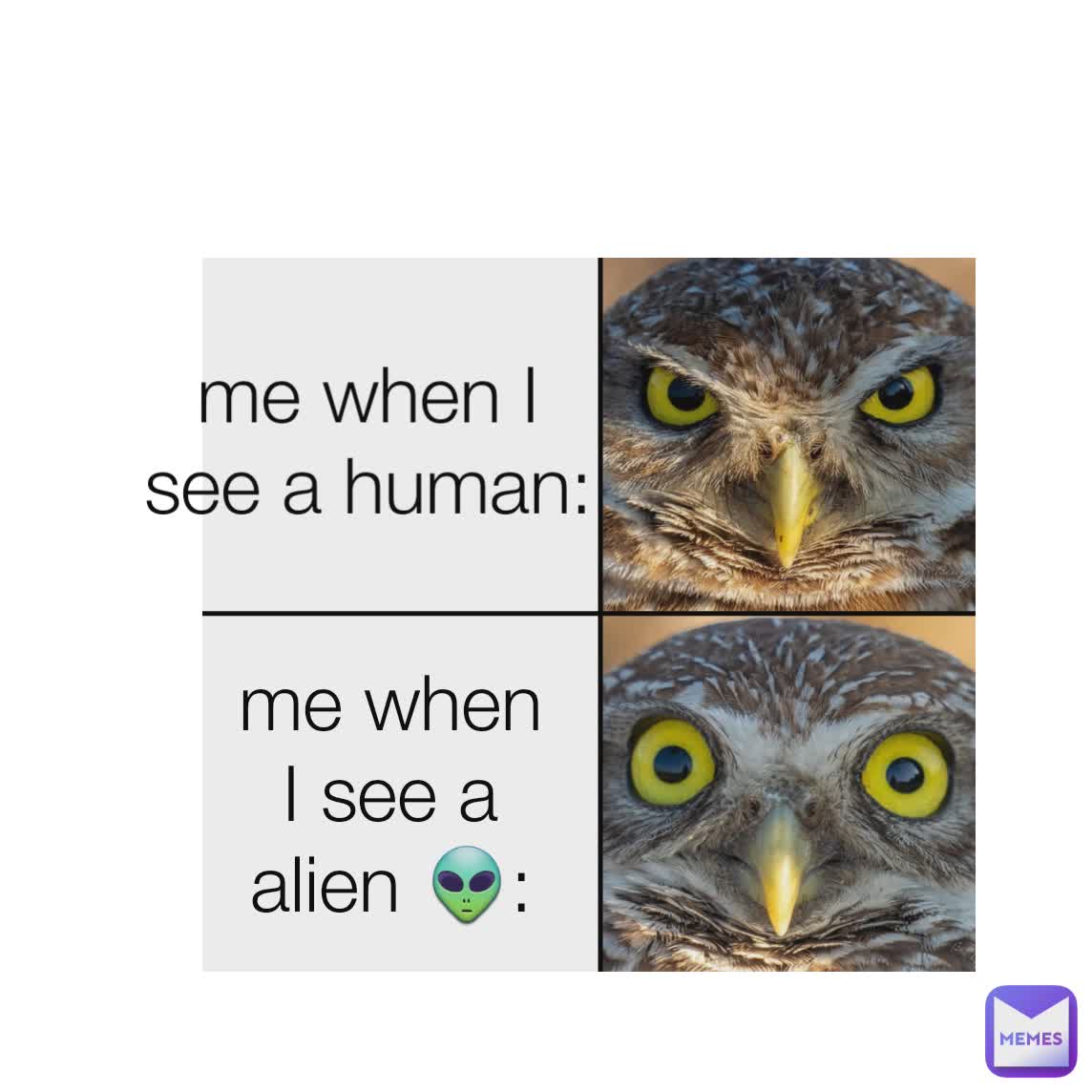 me when I see a human: me when I see a alien 👽: