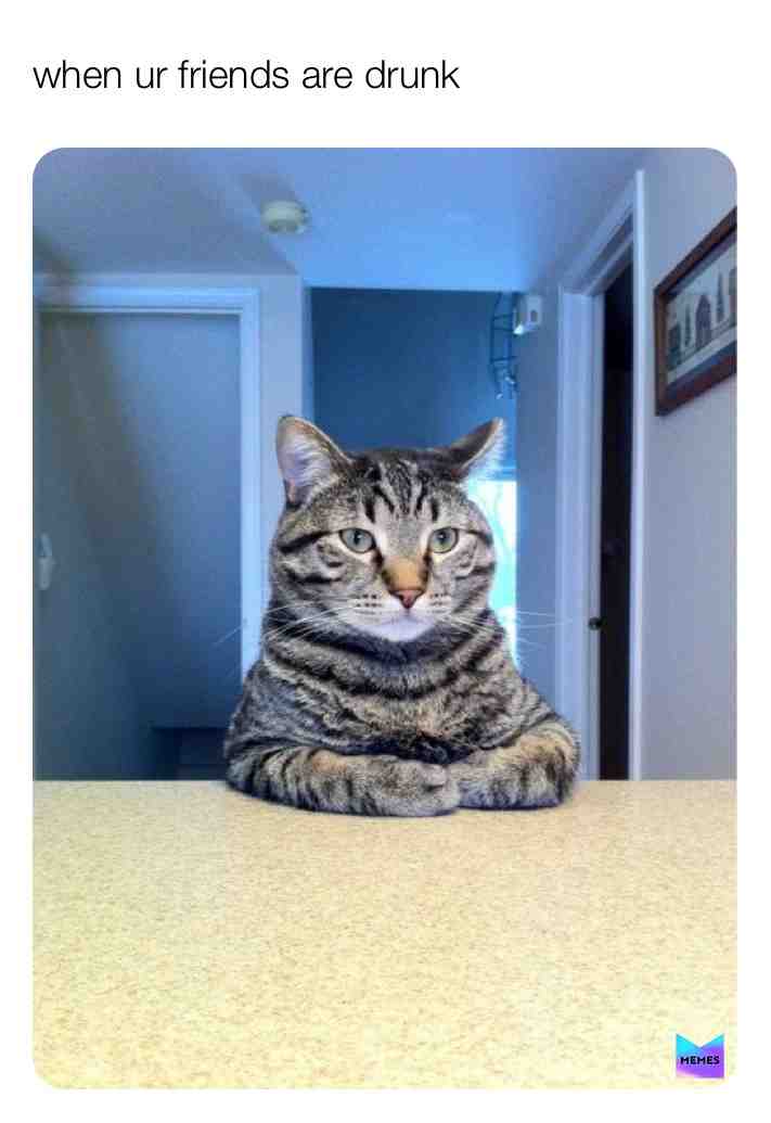 That’s just the cat  #catfriends