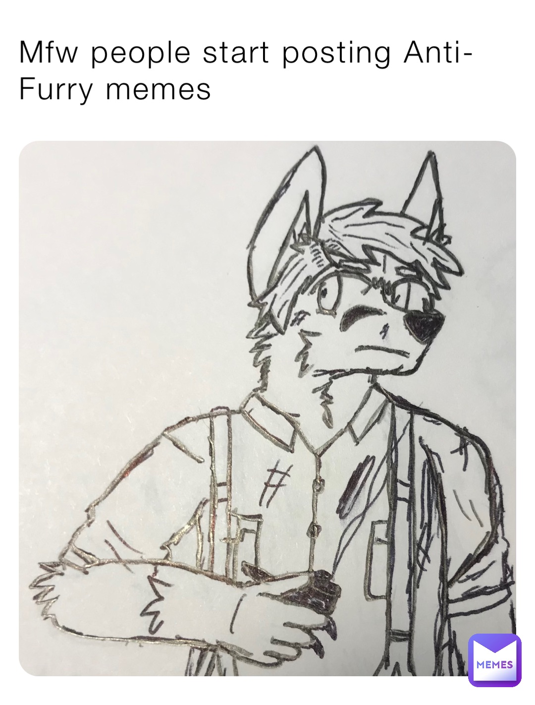 Mfw people start posting Anti-Furry memes