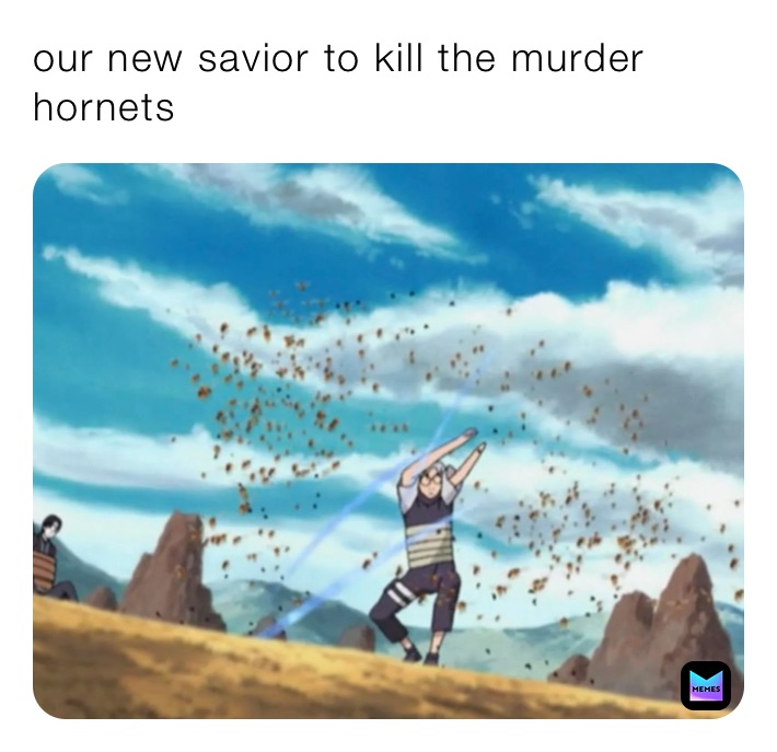 our new savior to kill the murder hornets 
