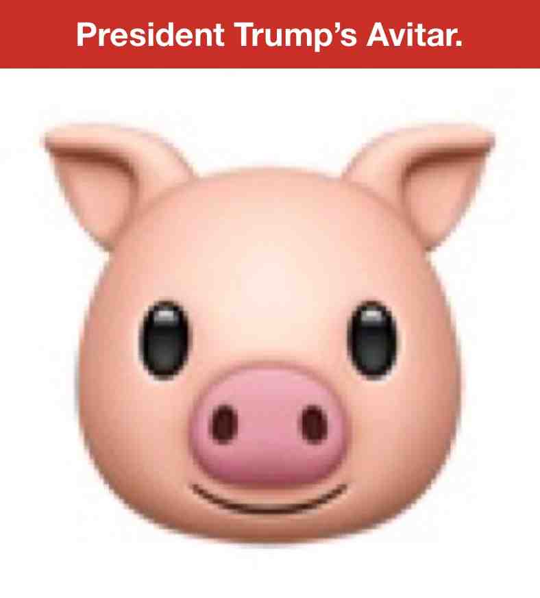 Meme shared by @vandalbuilt