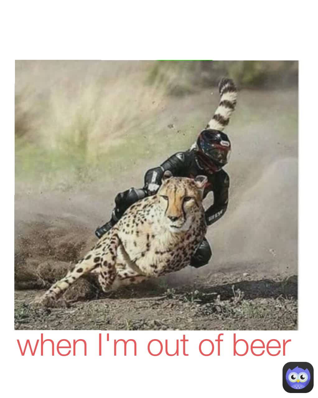 when I'm out of beer
