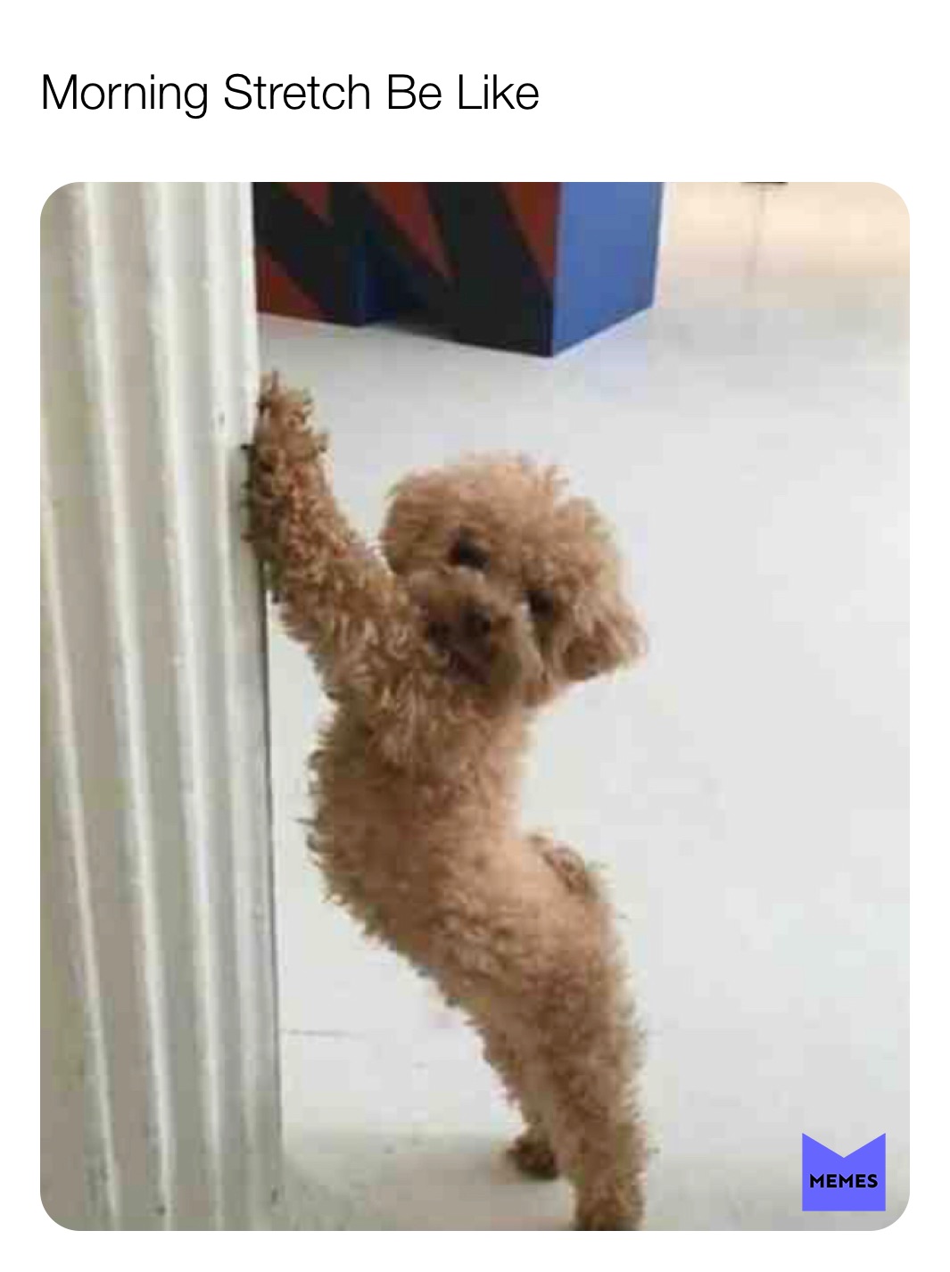 Meme by BelugaPantaloon