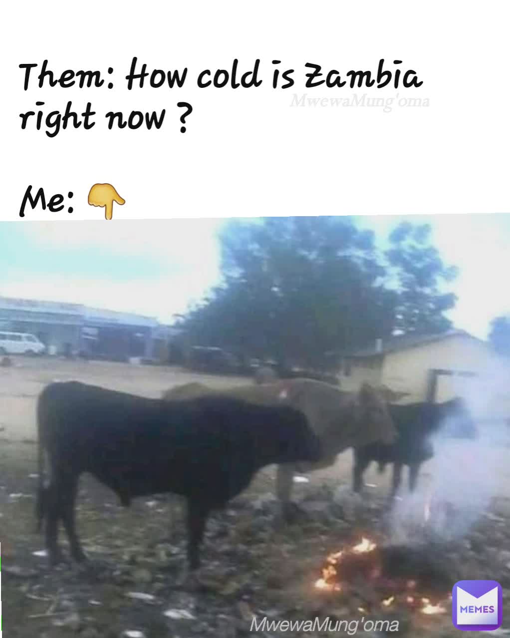 MwewaMung'oma Them: How cold is Zambia right now ?

Me: 👇 MwewaMungoma MwewaMung'oma