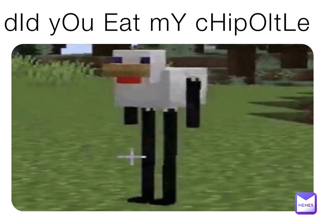 dId yOu Eat mY cHipOltLe