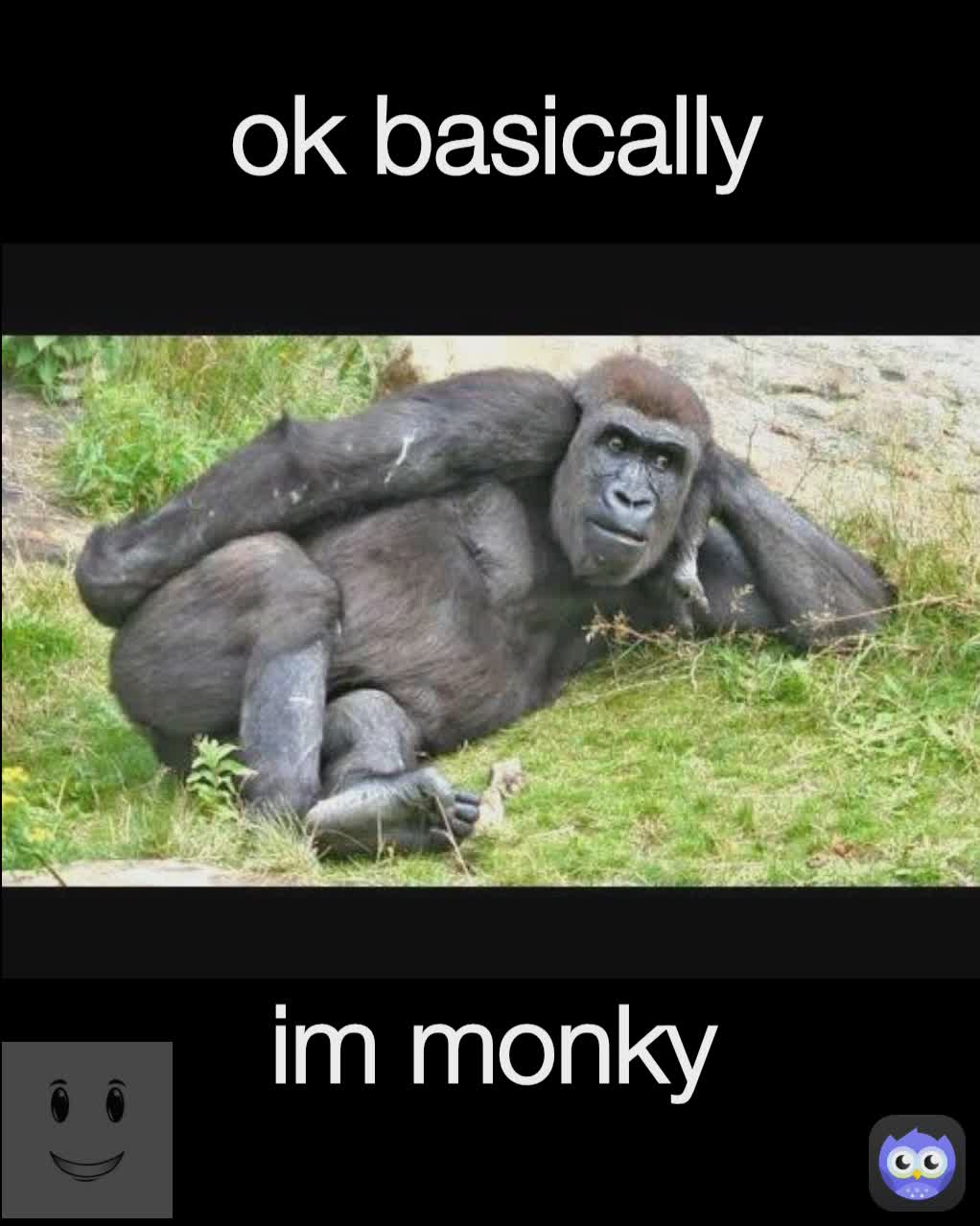 im monky ok basically