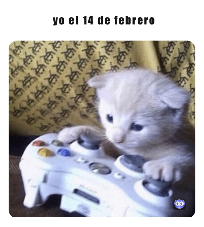              yo el 14 de febrero