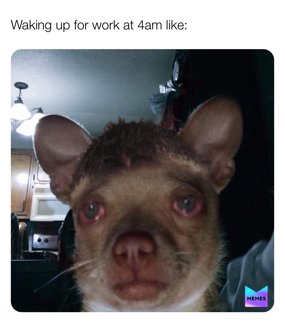 Meme by FruitRollUp_