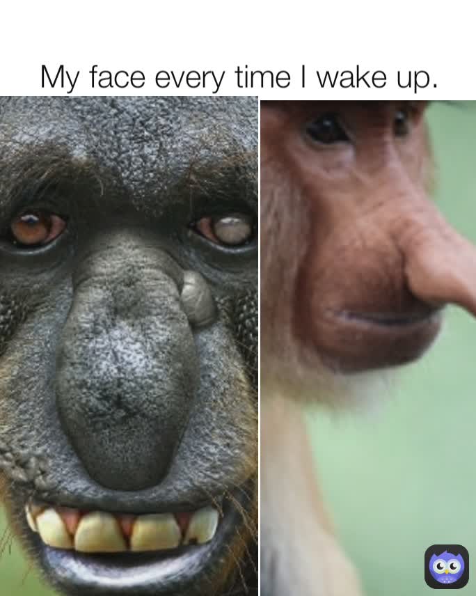 My face every time I wake up.
