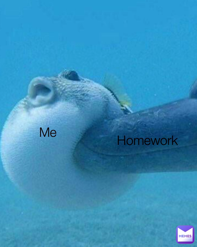 Homework  Me