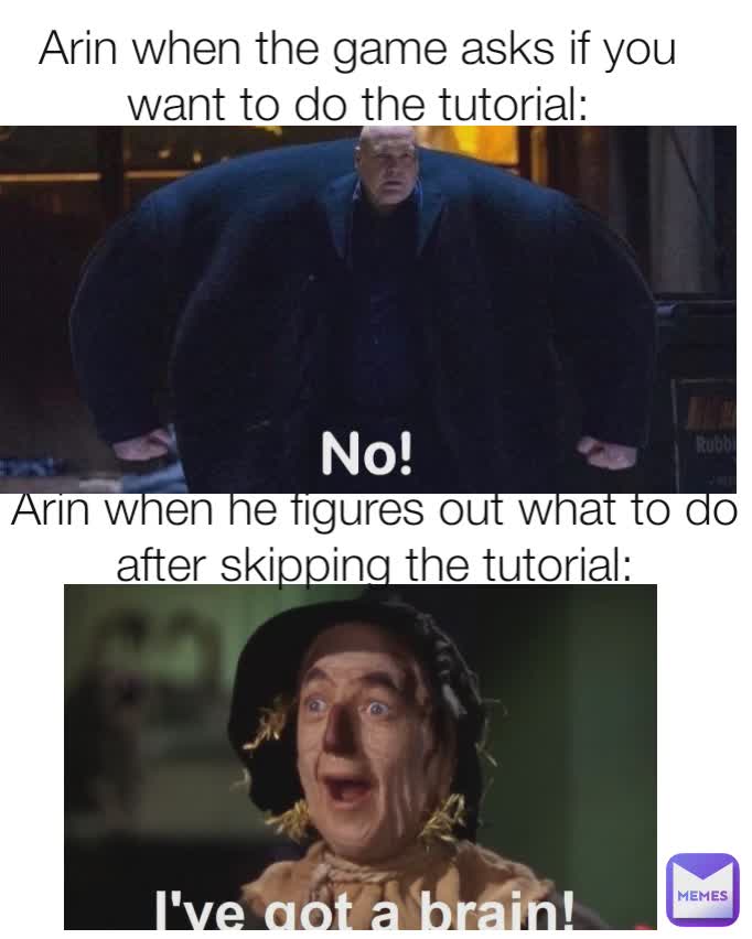 Arin when he figures out what to do after skipping the tutorial: Arin when the game asks if you want to do the tutorial:
