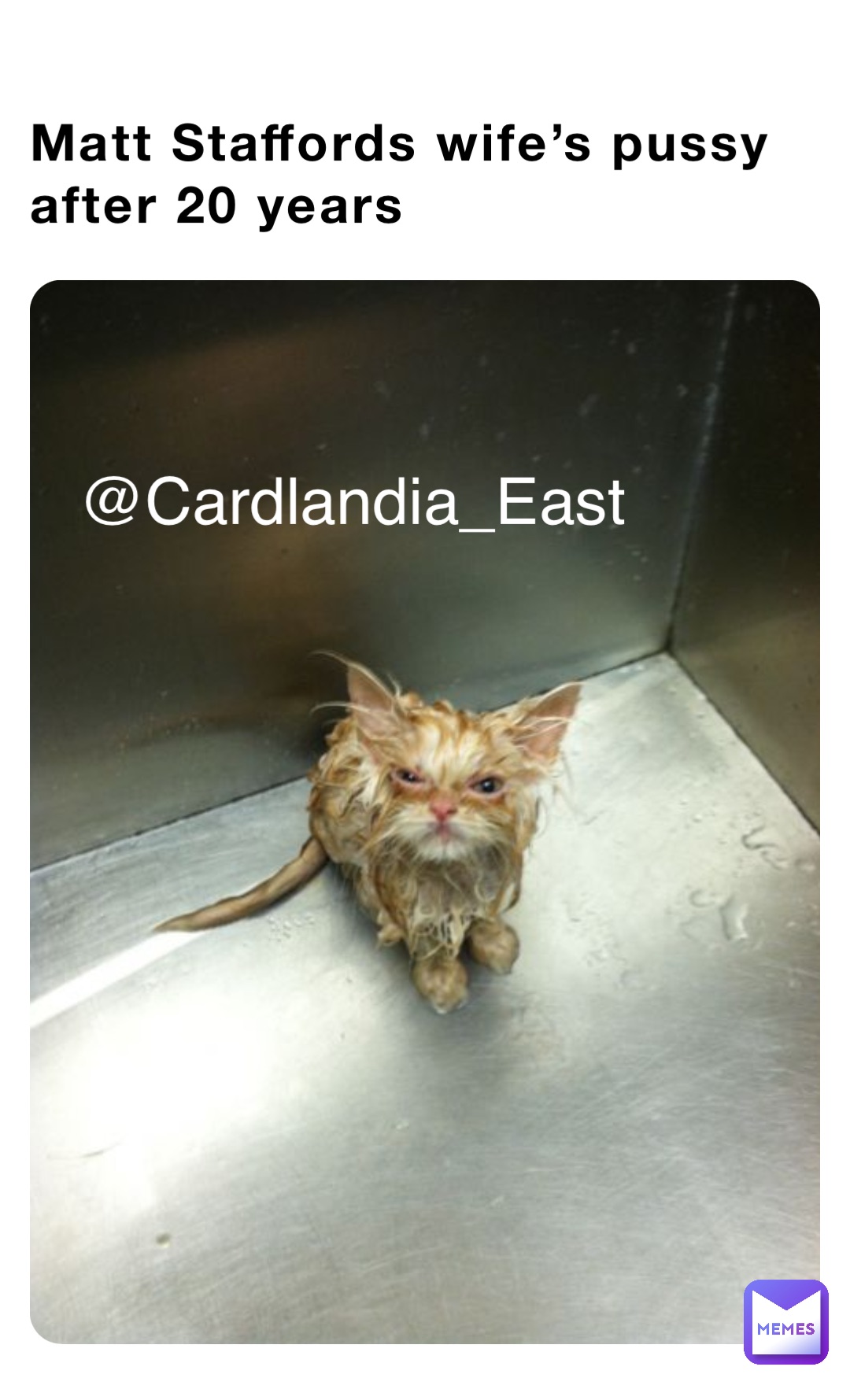 Meme by bubbsbichetti