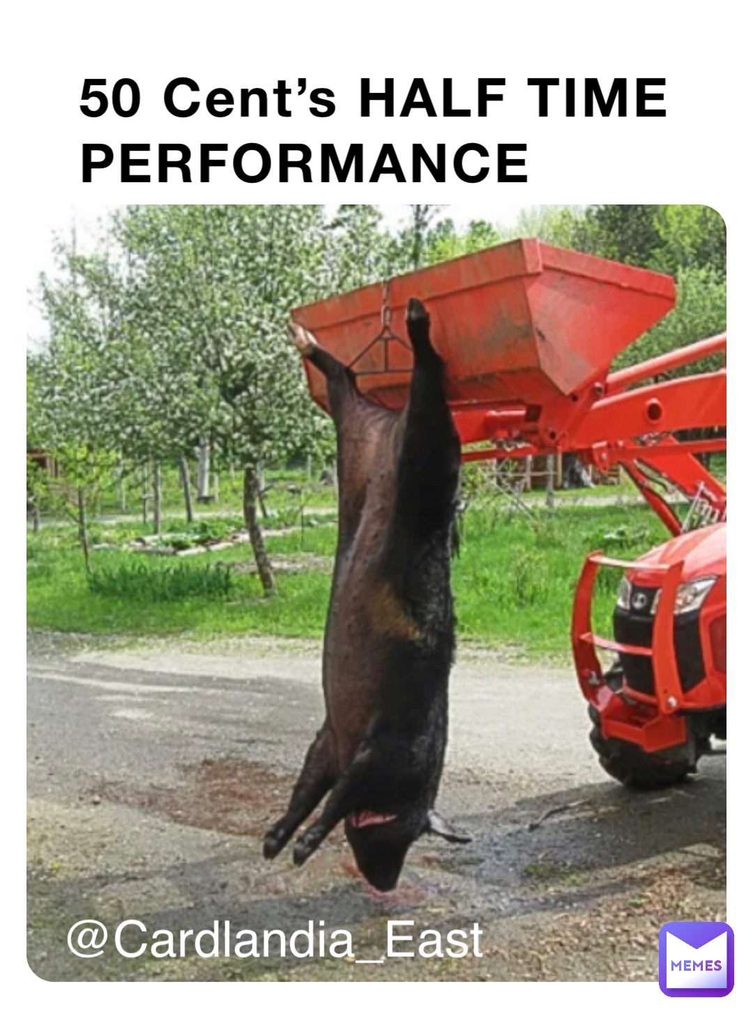 Meme by bubbsbichetti