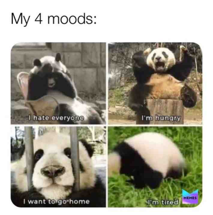 Anyone else? 😭