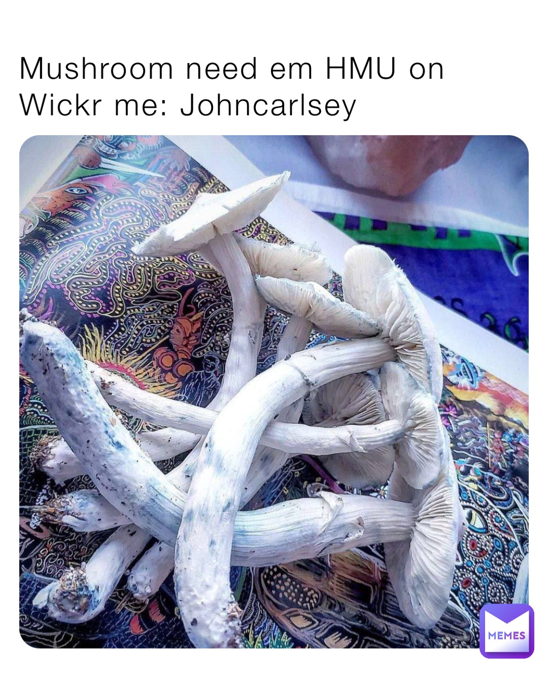 Mushroom need em HMU on Wickr me: Johncarlsey