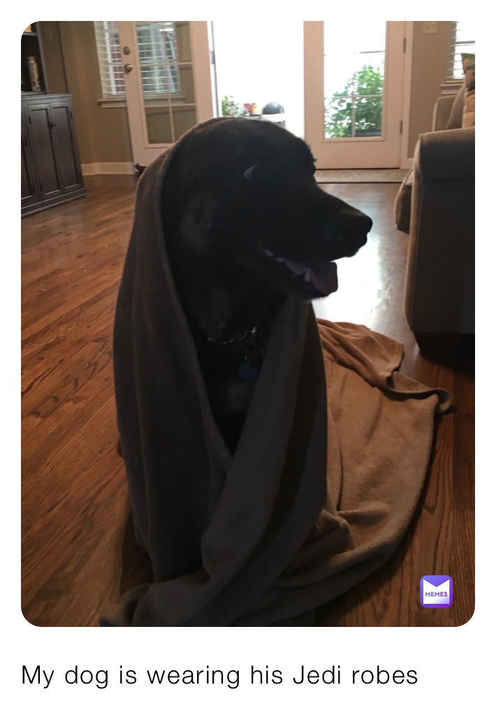 My dog is wearing his Jedi robes