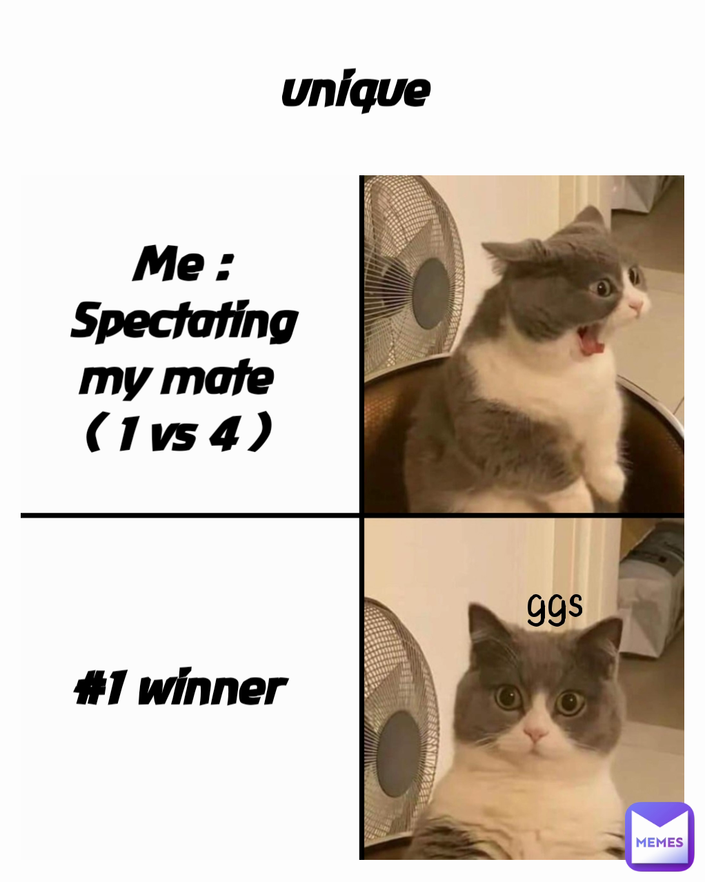 Me : Spectating my mate 
( 1 vs 4 )  unique ggs #1 winner
