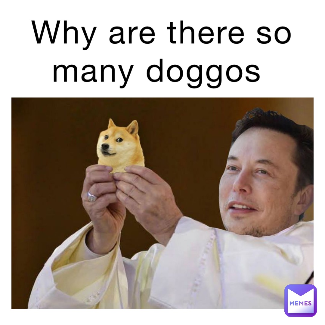 WHY ARE THERE SO MANY DOGGOS